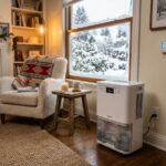 dehumidifier reduce heating costs